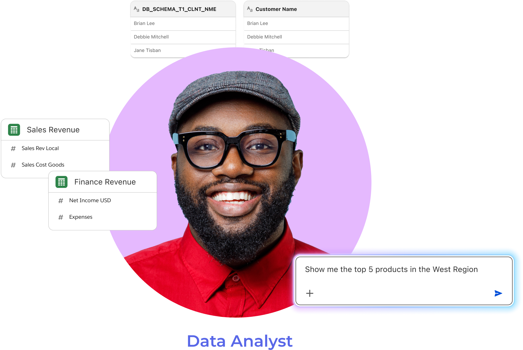 The data analyst